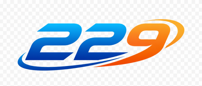 229